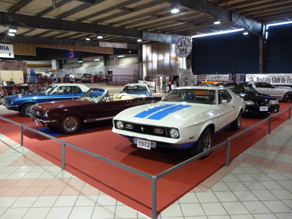 p1110789- Mustang