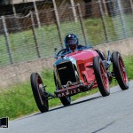 vintage revival 22-