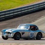 gpao2015 0353- Austin Healey 3000