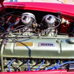 img 3773- Austin Healey 3000
