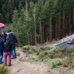 serpentine 011c2a9romain massola-