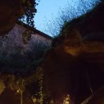 20160416 211733- Anjou