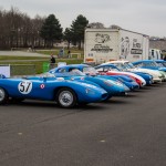 Coupes de Printemps 435- Coupes de Printemps