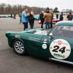 Coupes de Printemps 446- Coupes de Printemps