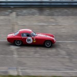 Coupes de Printemps 488- Coupes de Printemps