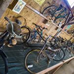 Road Trip en Anjou 186- Anjou