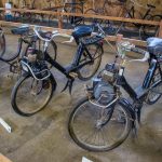 Road Trip en Anjou 202- Anjou