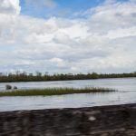 Road Trip en Anjou 53- Anjou