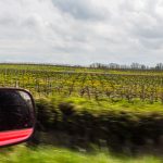 Road Trip en Anjou 643- Anjou