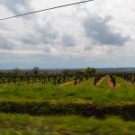 Road Trip en Anjou 652- Anjou