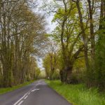 Road Trip en Anjou 654- Anjou