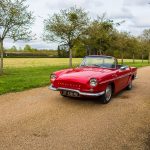 Road Trip en Anjou 70- Anjou