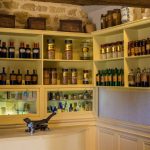 Road Trip en Anjou 753- Anjou