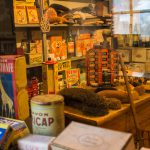Road Trip en Anjou 782- Anjou