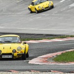 coupes de printemps 2016112- Coupes de Printemps