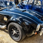 rasso avava avril 2016 269- AVAVA au Château de Versailles