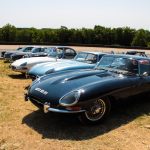 GPAO2015 1429- Grand Prix de l'Age d'Or 2016