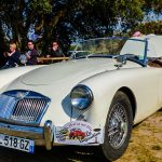 Vintage Heroes 163- Vintage Heroes 2016