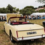 IMG 2678- Retrocoeur 2016