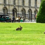 rallye paris rambouillet 2016 43- Paris Rambouillet 2016