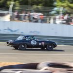 Le Mans Classic 2016 Plateau 4 116- plateau 4 du Mans Classic