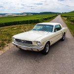 Ford Mustang 289 11- Ford Mustang