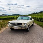 Ford Mustang 289 20- Ford Mustang