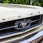 Ford Mustang 289 25- Ford Mustang