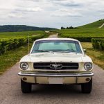 Ford Mustang 289 30- Ford Mustang