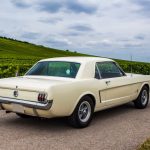 Ford Mustang 289 34- Ford Mustang