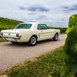Ford Mustang 289 35- Ford Mustang