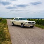 Ford Mustang 289 47- Ford Mustang