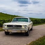 Ford Mustang 289 48- Ford Mustang