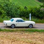 Ford Mustang 289 78- Ford Mustang