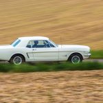 Ford Mustang 289 79- Ford Mustang