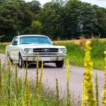 Ford Mustang 289 84- Ford Mustang