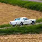 Ford Mustang 289 92- Ford Mustang