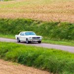 Ford Mustang 289 99- Ford Mustang