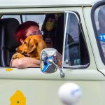 Super VW Fest 92- Super VW Fest