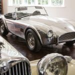 AC 260 3- Cobra 260