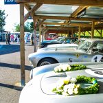 Goodwood Revival 2016 290- Goodwood Revival 2016