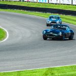 Goodwood Revival 2016 342- Goodwood Revival 2016