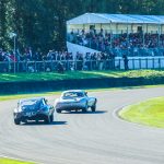 Goodwood Revival 2016 390- Goodwood Revival 2016