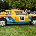 chantilly 2016 266- Chantilly Art et Elegance 2016