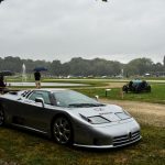 chantilly 2016 575 1- Chantilly Art et Elegance 2016