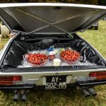 chantilly 2016 774- Chantilly Art et Elegance 2016