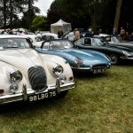 chantilly 2016 825- Chantilly Arts et Elegance 2017