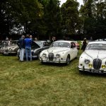 chantilly 2016 826- Chantilly Art et Elegance 2016