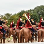 chantilly 2016 848- Chantilly Art et Elegance 2016