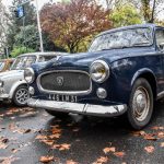 DSC 0017 17-